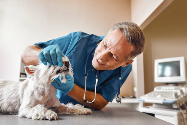 Best Emergency Root Canal Treatment in Princeton, NJ